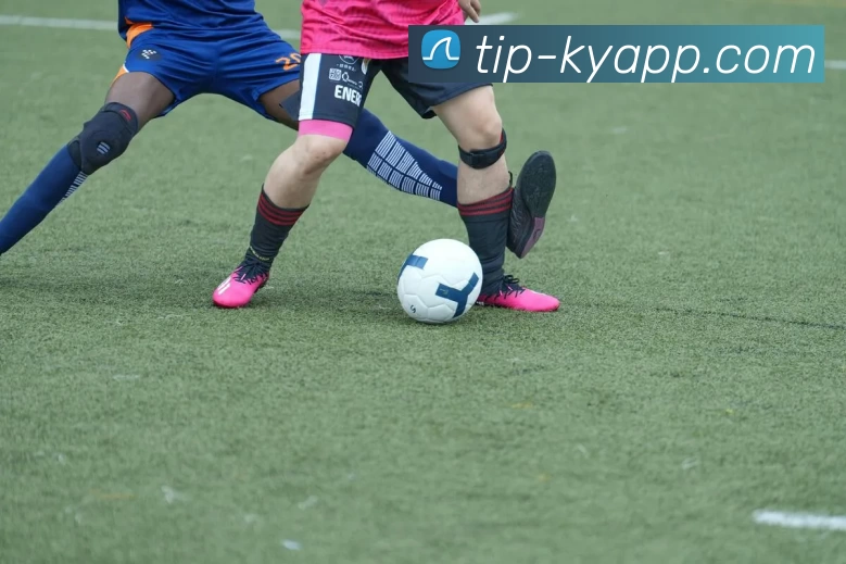 开云体育APP 封面图